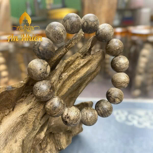 z7327691943121_3275225ba120f38a47c9311a18324714