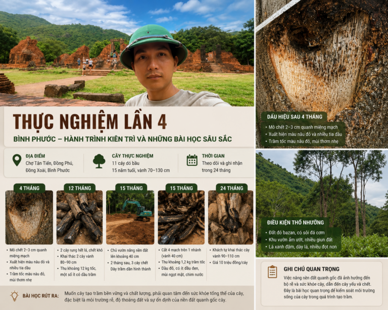 ChatGPT Image 21_55_52 24 thg 8, 2026