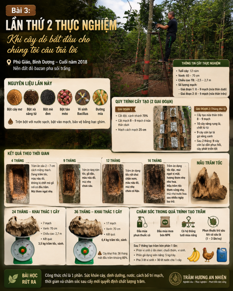 ChatGPT Image 22_03_34 10 thg 8, 2026