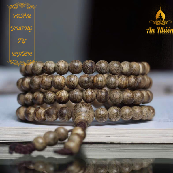 Thiết kế chưa có tên (11)